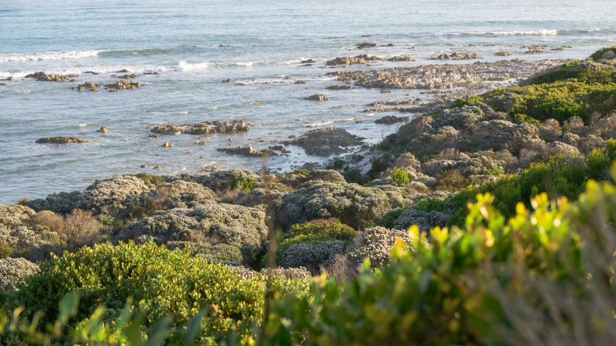 5 Bedroom Property for Sale in Suiderstrand Western Cape